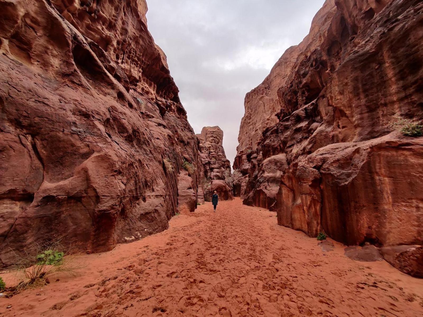 Wadi Rum Albasli Exterior foto